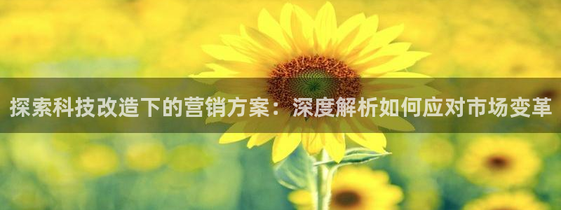 金年会app官网