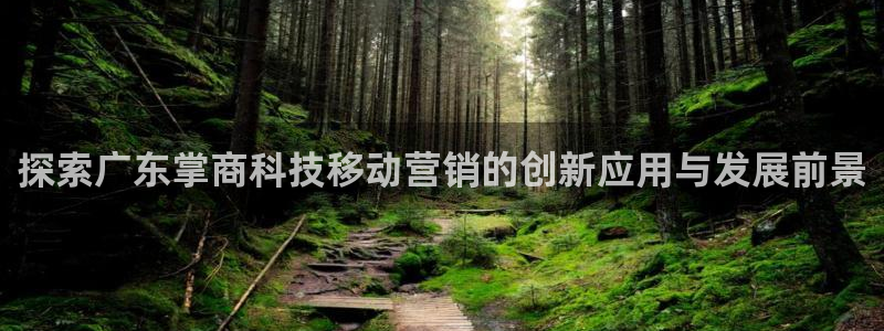 金年会下载安卓