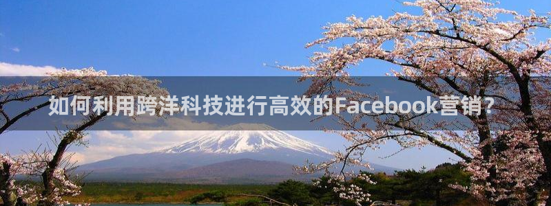 金年会官方网站入口