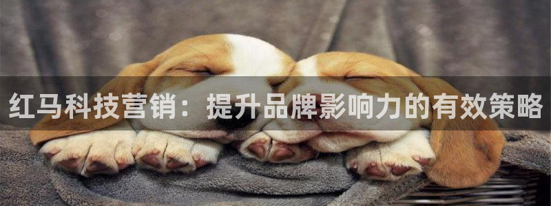金年会是什么平台会不会提不了现