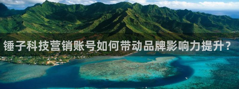 金年会网站稳不稳