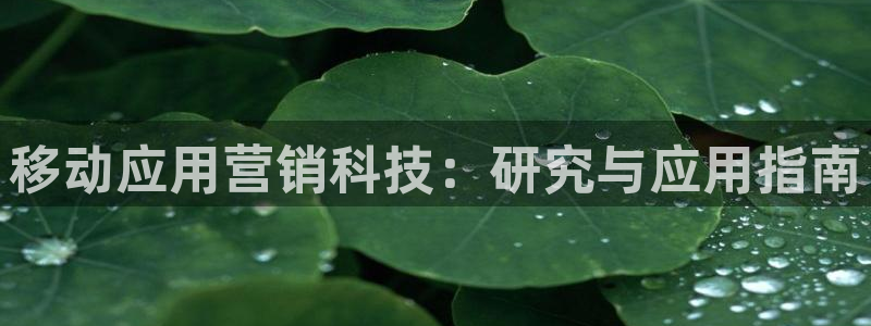 金年会电子