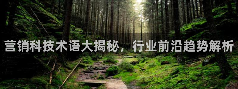 金年会黑平台不给出款