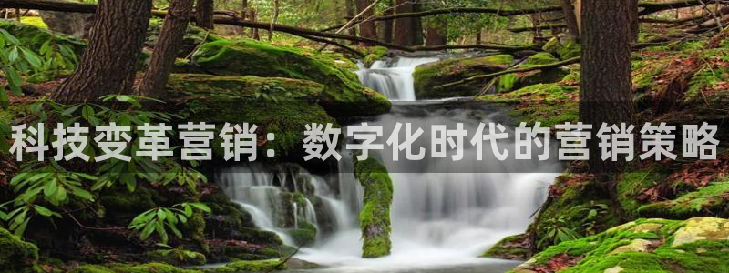 金年会体育网页版