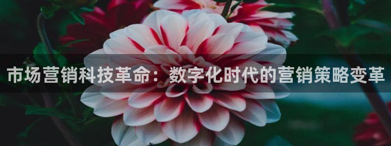金年会 金字招牌诚信至上Vip