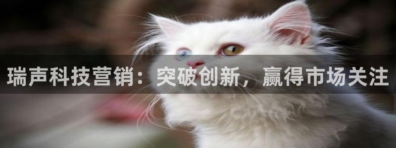 金年会体育苹果下载app