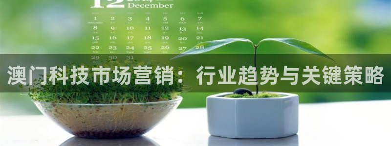 金年会体育网页版