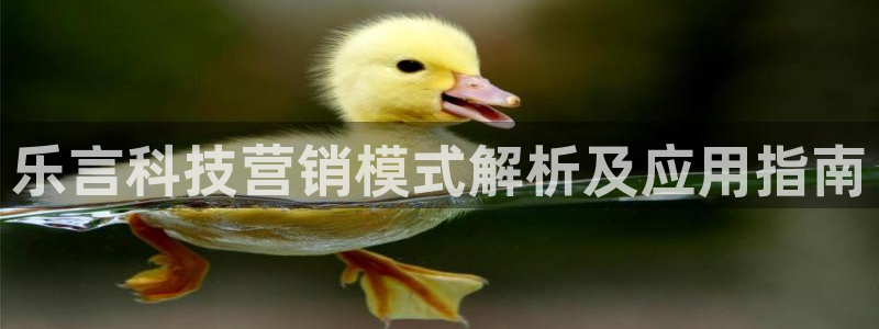 金年会体育app官网下载