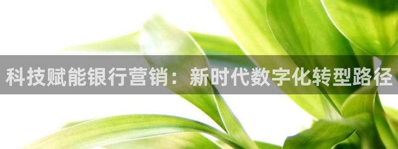 jinnianhui金年会195