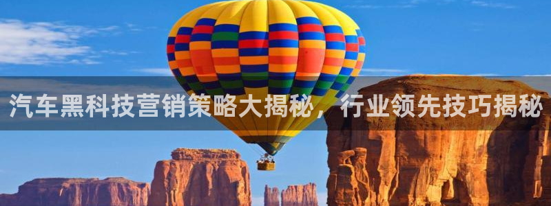 金年会体育一直输