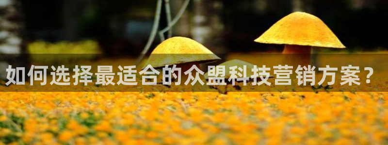 jinnianhui金年会世界杯