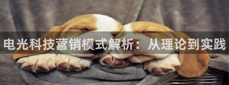 金年会网页版登陆