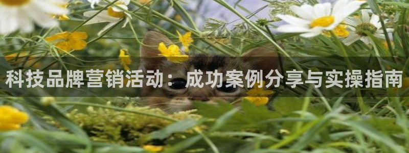 金年会电子游戏