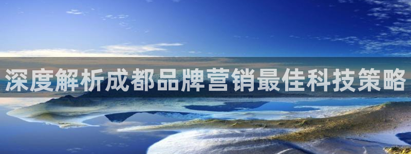 金年会APP官方网站
