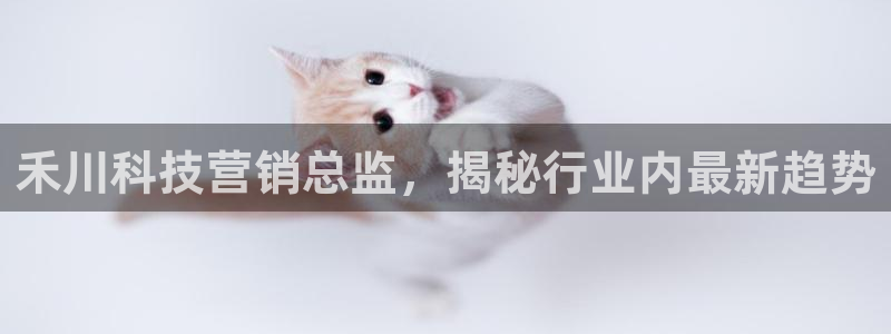 金年会金字招牌诚信经营