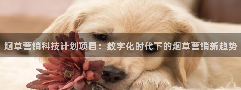 金年会在线入口登录