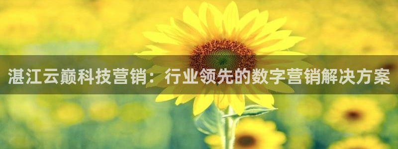 金年会官方网站入口登录手机版下载