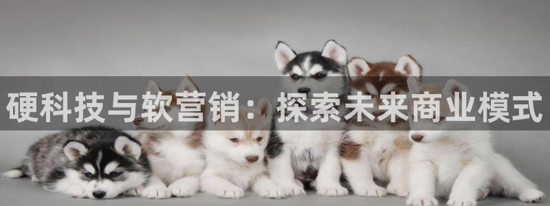金年会金字招牌