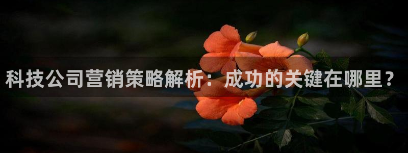 金年会网站稳不稳