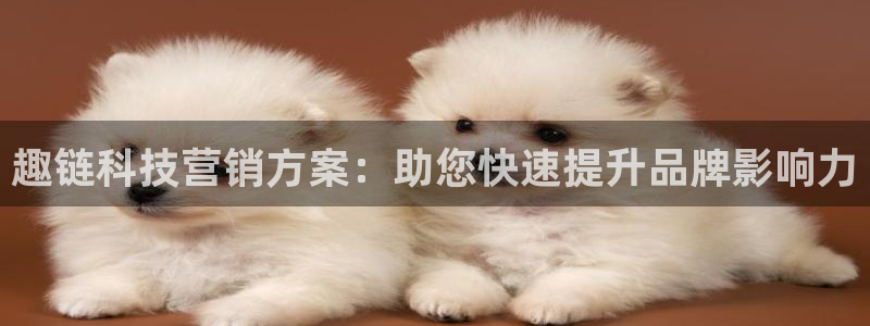 金年会官网登入