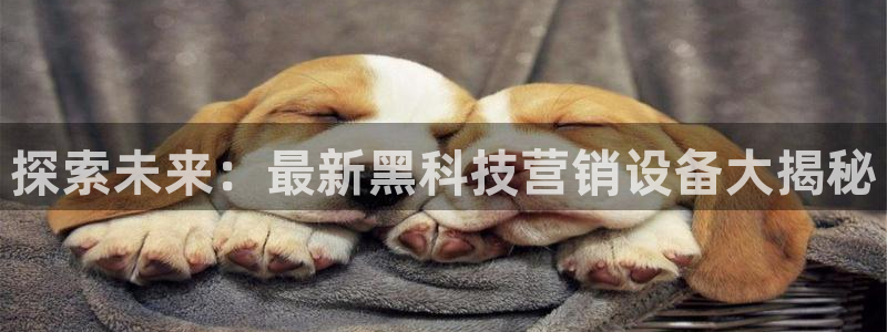 金年会电子游戏
