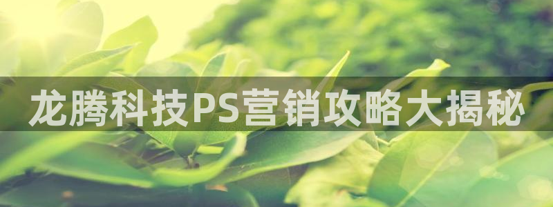 金年会体育查处
