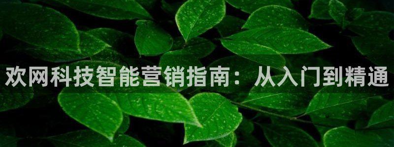 今年会金年会