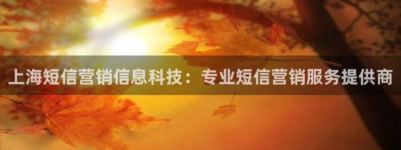 金年会体育手机app下载官网苹果