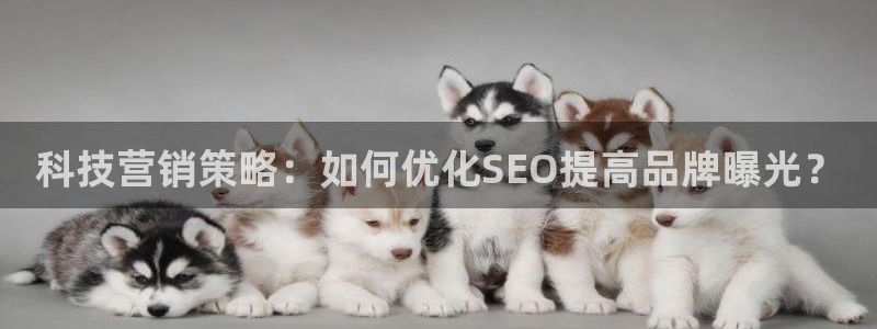 金年会体育平台是真的吗知乎