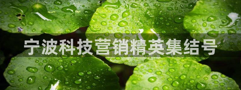 金年会官网登入