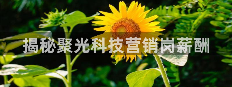 金年会手机版怎么下载
