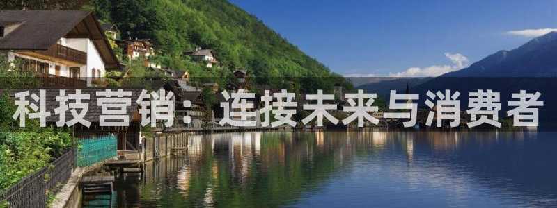 金年会网站洗黑钱