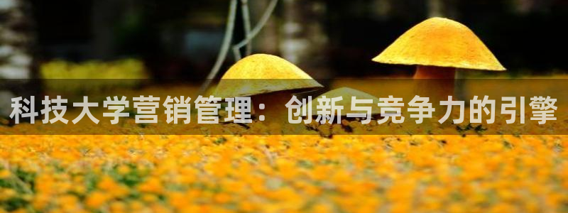 金年会金字招牌诚信人口