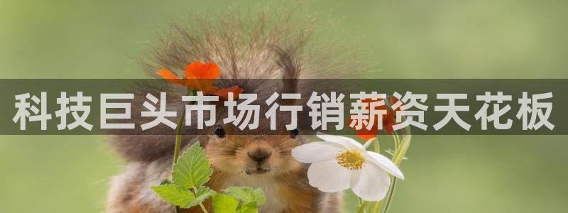 金年会体育全站