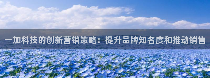 金年会体育怎么样