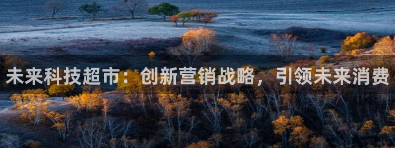 金年会体育app平台怎么样