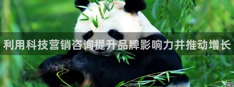 金年会jinnianhuicom