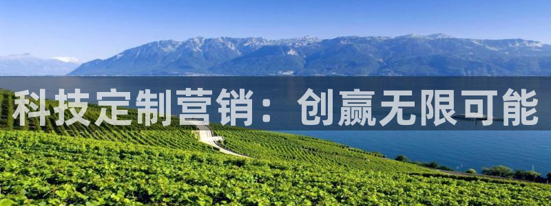 金年会体育手机app下载官网最新版
