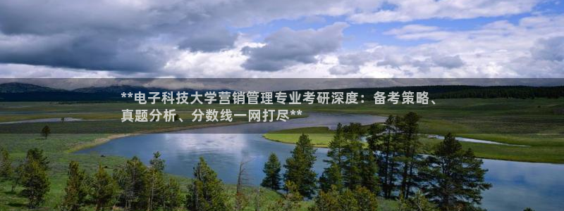 金年会官方在线
