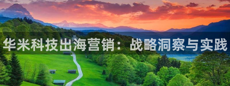 金年会平台是黑网还是白网