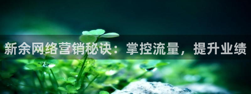 金年会app下载官网登录入口