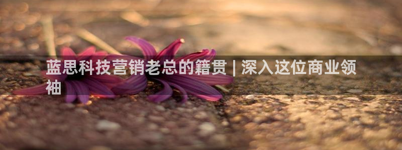 金年会体育出款审核七天