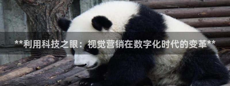 金年会体育app下载官网安卓
