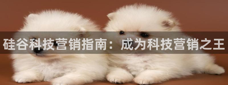 金年会下载安卓