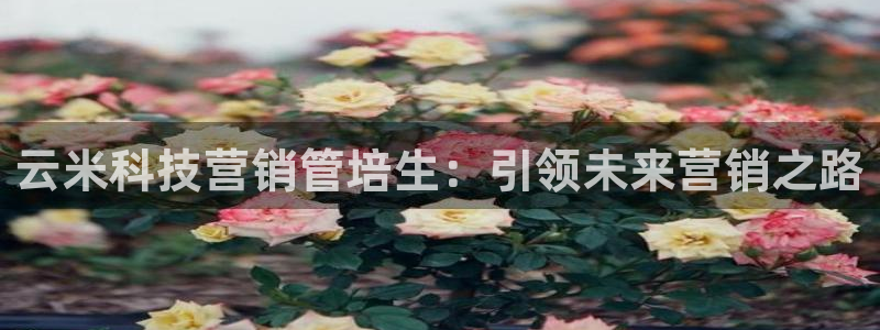 金年会体育平台新地址