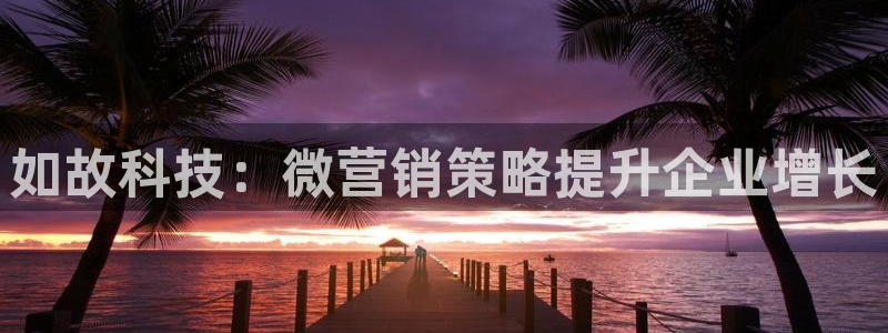 金年会官方在线入口网站查询