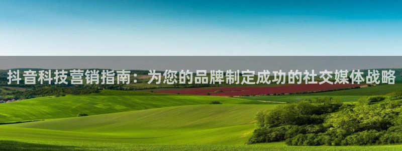 金年会体育论坛
