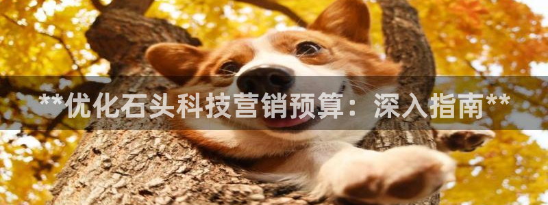 金年会官方体育