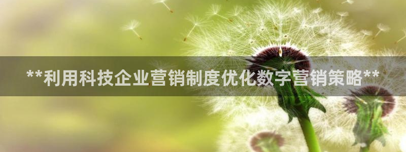 金年会体育app平台怎么样可靠吗