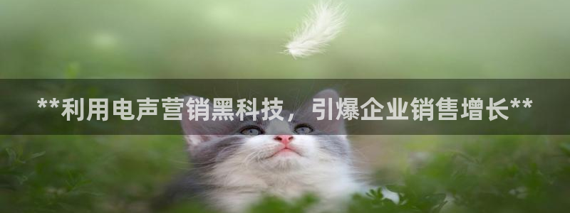 金年会官方在线入口网站下载